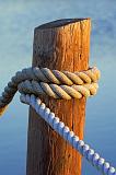 Piling & Rope_36981